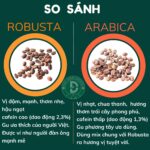 Gói 500g đầy đủ tỉ lệ Robusta và Arabica DUC ANH COFFEE rang mộc nguyên chất, lựa chọn cafe hạt bột pha phin,pha máy, coldbrew - Ảnh 6