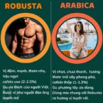 1kg cà phê rang mộc DUC ANH COFFEE tất cả các tùy chọn robusta và arabica - xay dùng pha phin, cafe pha máy, cafe hạt, ủ lạnh - Ảnh 7