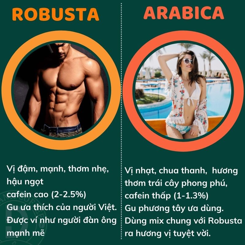 1kg cà phê rang mộc DUC ANH COFFEE tất cả các tùy chọn robusta và arabica - xay dùng pha phin, cafe pha máy, cafe hạt, ủ lạnh - Ảnh 7