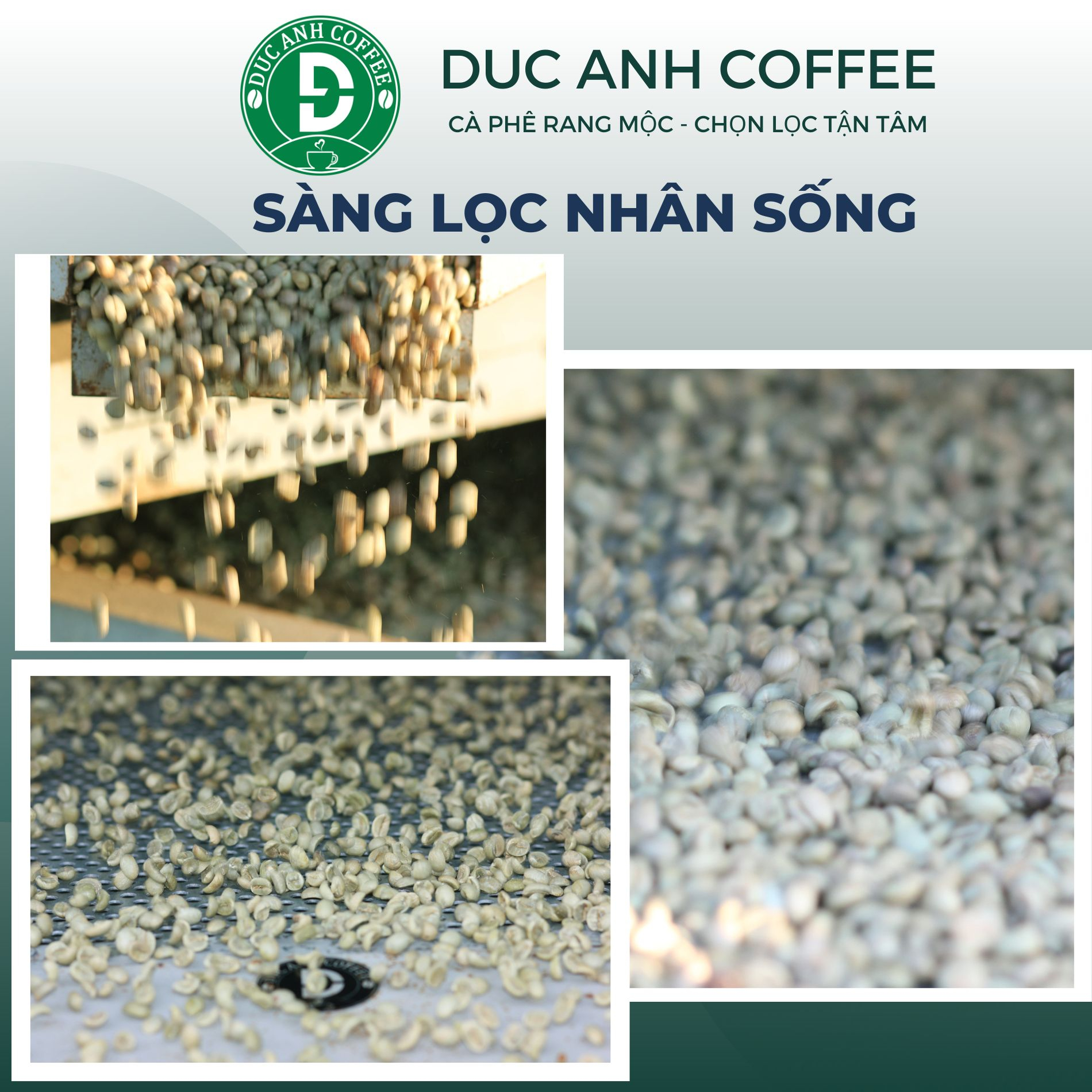 1kg cà phê rang mộc DUC ANH COFFEE tất cả các tùy chọn robusta và arabica - xay dùng pha phin, cafe pha máy, cafe hạt, ủ lạnh - Ảnh 8